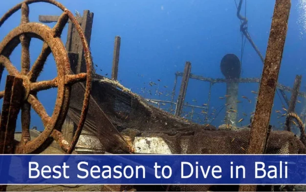 When is The Best Season to Dive in Bali?